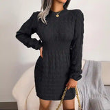 Bodycon Pullover Mini Sweater