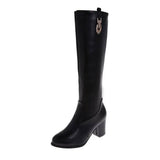 Autumn And Winter Thick Heel High Heel Pointed High Boots-Black-5