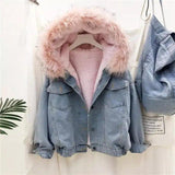 Hooded and velvet lamb denim jacket-Pink-2